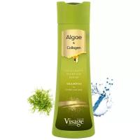 VISAGE Color Hair Fashion / Шампунь На каждый день 250 мл, SHAMPOO EVERY DAY