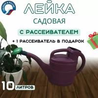 Лейка, 10 л, с рассеивателем "Престиж"