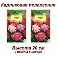 Набор семян, семена комнатных цветов карликовая Пеларгония