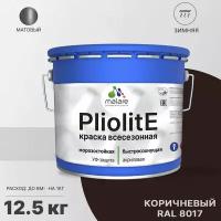 Краска-эмаль Pliolite всесезонная, зимняя, для всех типов поверхностей, антикоррозионная, RAL 8017, коричневый, матовая, 12,5 кг