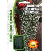 Дихондра Серебристая, ползучая, многолетняя лиана ( 1 уп: 10 семя )