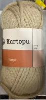 Kartopu tempo 25%шерсть75%акрил;200гр80м(1 моток)