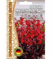 Семена Лобелии многолетней блестящей "Queen Victoria" (Scarlet) (5 драже)