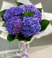Букет Гортензия фиолетовая, красивый букет цветов, шикарный, цветы премиум