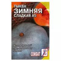 6 упаковок Семена Тыква Зимняя Сладкая, 1 г