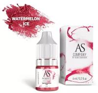 AS Company Пигмент для татуажа губ Watermelon ice (Арбузный лед), 6 мл (AS Pigments, Алина Шахова, Пигменты Шаховой)