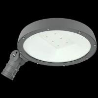 Светильник LED ДКУ Парк 2001-70Д 3000К IP65, IEK LDKU0-2001-070-3000-K02 (1 шт.)