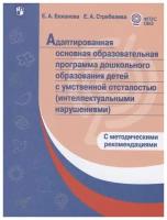 Адаптированная основная образовательная программа дошкольного образования детей. С методическими рекомендациями. ФГОС ОВЗ