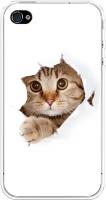 Силиконовый чехол на Apple iPhone 4/4S / Айфон 4/4S Кот и бумага