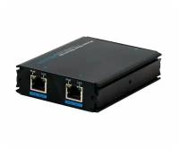 RVi-1NE-P10 удлинитель ethernet