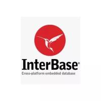 InterBase XE3 Server Server & 1 Simultaneous user License (IBMX03ELEWM19)