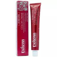Exitenn Стойкая крем-краска для волос Color Creme 10 R. Extraclaro/Яркий блонд натуральный, 60 мл