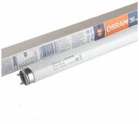 Лампа люминесцентная L 36W/765 36Вт T8 6500К G13 смол. OSRAM 4008321959836