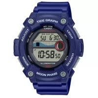 Наручные часы Casio Collection WS-1300H-2A