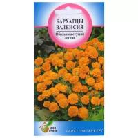 "Бархатцы (Тагетес отклонённый) Валенсия, 90 семян"