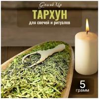 Сухая трава Полынь эстрагонная (Эстрагон, Тархун) для свечей и ритуалов, 5 гр