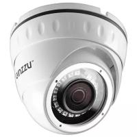 Сетевая камера Ginzzu HID-2031S