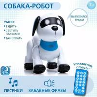 Интерактивная собака IQ BOT "Дружок Лакки", свет и звук, пластик, в коробке (ZY1137174)