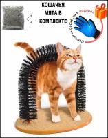 Когтеточка чесалка для кошек в форме арки / Комплекс для кошек щеткой и когтеточкой