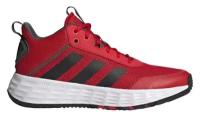 Кроссовки баскетбольные Adidas H00466 UK11.5