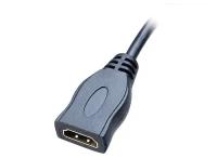 Аксессуар Akasa HDMI - Micro HDMI 25cm AK-CBHD09-25BK