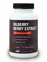 Экстракт черники, 90 капсул. Натуральный антиоксидант для зрения. Bilberry berry extract / PROTEIN.COMPANY