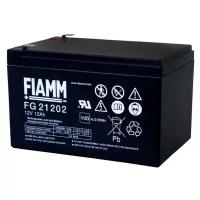 Аккумуляторная батарея FIAMM FG 21202