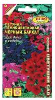 Семена цветов Петуния "Черный бархат", смесь окрасок, О, 0,04 г