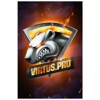 Плакат Virtus. Pro