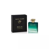 Парфюмерия ROJA Parfums Vetiver Pour Homme Parfum Cologne 100 ml - парфюмерная вода мужская