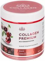 Натуральный пищевой коллаген в желе Collagen Premium с витаминами С,В6 и хондроитином с соком вишни для суставов 500 гр