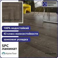 Кварцвиниловая плитка SPC ламинат Alpine Floor PARQUET LIGHT Eco 13-19 Дуб Антарес 600 x 125 x 4 мм 43 класс