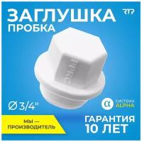 Заглушка (пробка) полипропилен, ППР, RTP, PN25, PP-R, с резьбой 3/4"