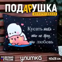 Подушка декоративная подарочная с надписью "Кусать тебя - это не бред". Подарок любимой девушке или парню на день рождения