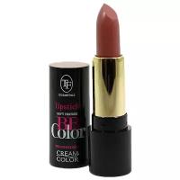 TF, Кремовая помада для губ "BB Color Lipstick", тон 102 "Cappuccino/Капучино"