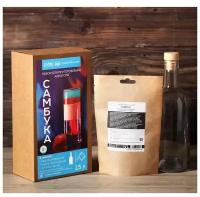 BRAGAVAR Подарочный набор для приготовления алкоголя «Самбука»: травы и специи 60 г, бутылка 500 мл