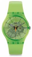 SWATCH Часы наручные Kiwi Vibes SUOG118