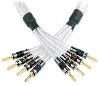 Кабель акустический с катушки Bi-Wire QED (C-GNSSBW/30) Genesis Silver Spiral Bi-Wire, 1 м