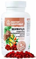 Живица кедровая 12,5 % на облепиховом масле Вектор Здоровья 150 капсул