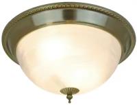 Потолочный светильник Arte Lamp 16 A1305PL-2AB