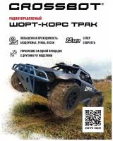 Багги Crossbot Шорт-корс Трак 870599, 41 см, синий