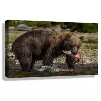 Картина 90x60 см на холсте Медведь гризли с пойманным лососем