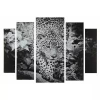 Картина модульная на подрамнике "Черно-белый леопард" 2-14х53, 2-21х69,5 1-34х79; 80х118 см