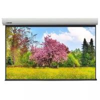 Экран для проектора Lumien Master Large Control 422x656 LMLC-100109