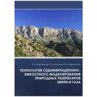 Технология седиментационно-емкостного моделирования природных резервуаров нефти и газа