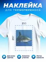 Термонаклейка для одежды наклейка Акула (Shark, Термонаклейка для одежды наклейка с Акулой)_0013