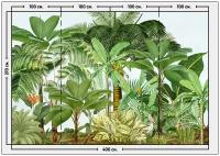Фотообои / флизелиновые обои Пеликан в джунглях 4 x 2,7 м