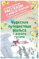 Сельма Лагерлёф "Чудесное путешествие Нильса с дикими гусями"