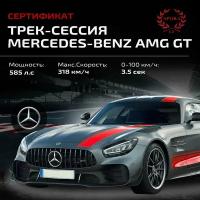 Сертификат на трек-сессию Mercedes Benz AMG GT