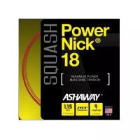 Струна для сквоша Ashaway 9m PowerNick Red A10863, 1.15